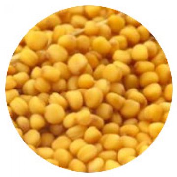 SEMI DI SENAPE GIALLA KG 1